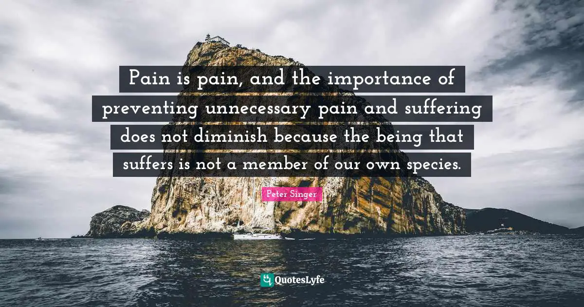 Pain is pain, and the importance of preventing unnecessary pain and suffering does not diminish because the being that suffers is not a member of our own species.
