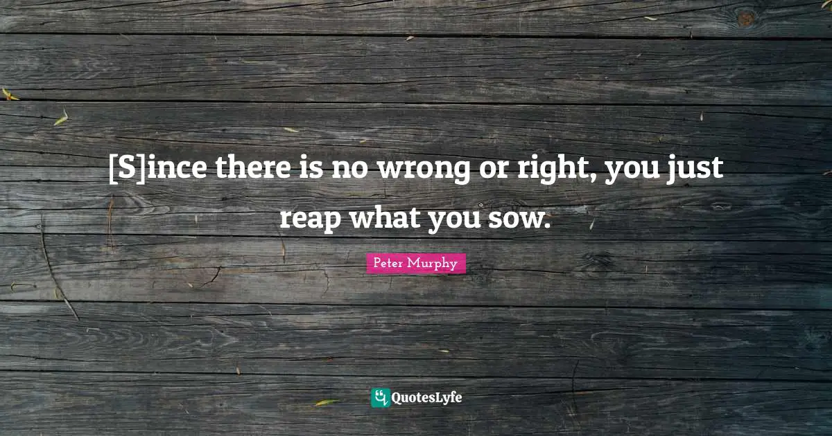 Reap Quotes: "[S]ince there is no wrong or right, you just reap what you sow."