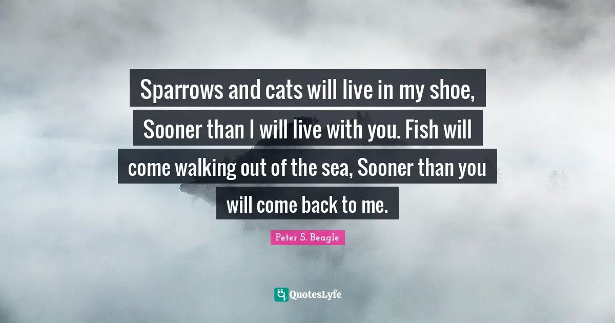 Sparrows and cats will live in my shoe, Sooner than I will live with you. Fish will come walking out of the sea, Sooner than you will come back to me.