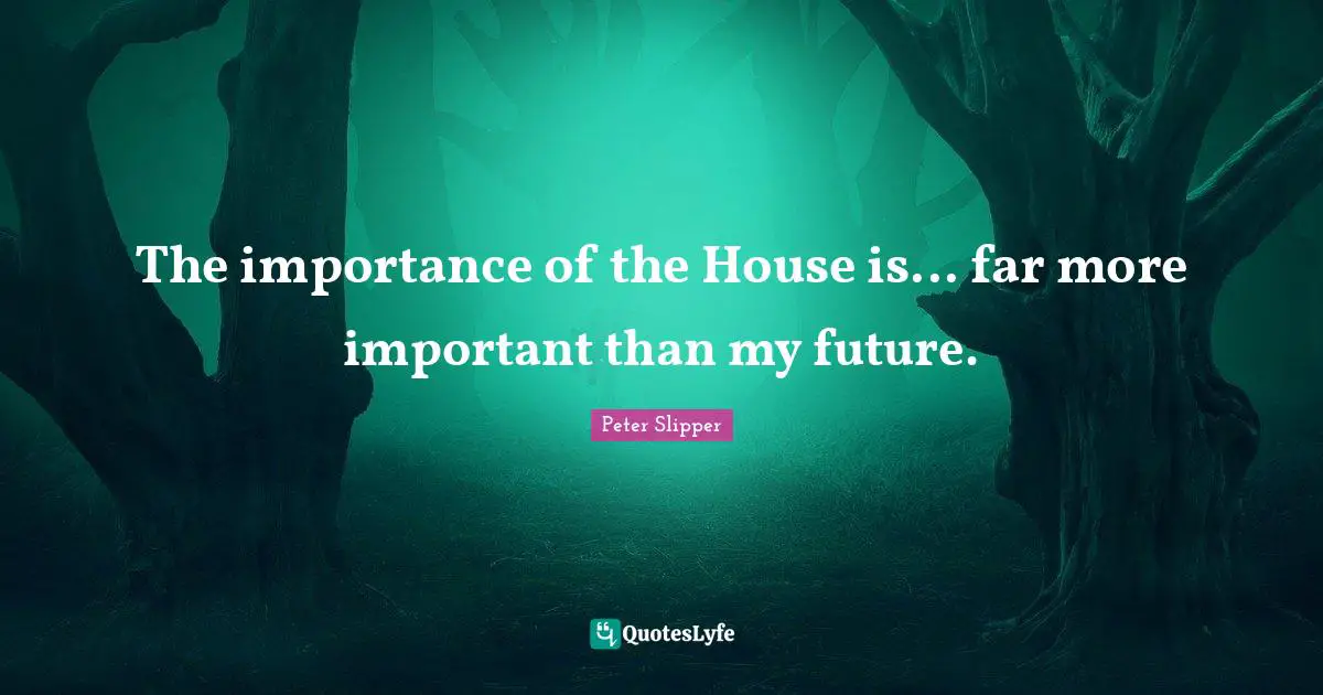 Importance Quotes: "The importance of the House is... far more important than my future."