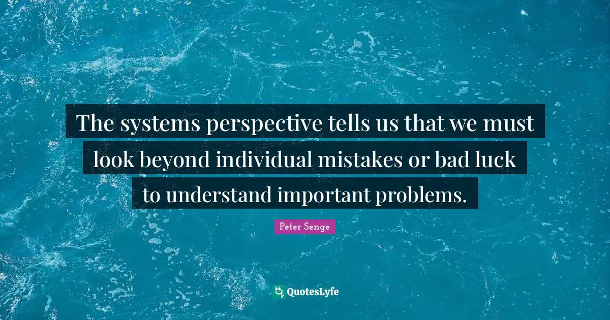 The systems perspective tells us that we must look beyond individual mistakes or bad luck to understand important problems.