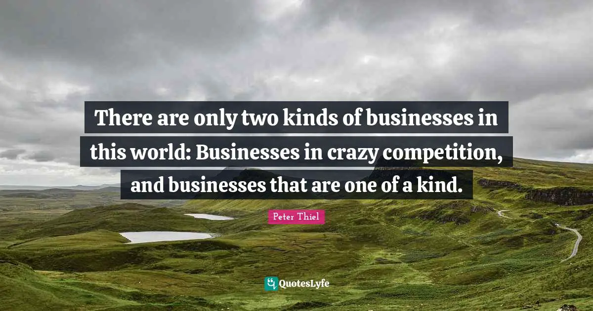 There are only two kinds of businesses in this world: Businesses in crazy competition, and businesses that are one of a kind.