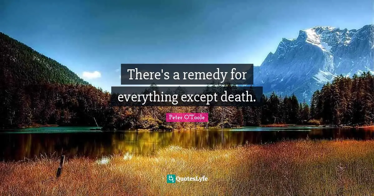 Peter O'Toole Quotes: "There's a remedy for everything except death."