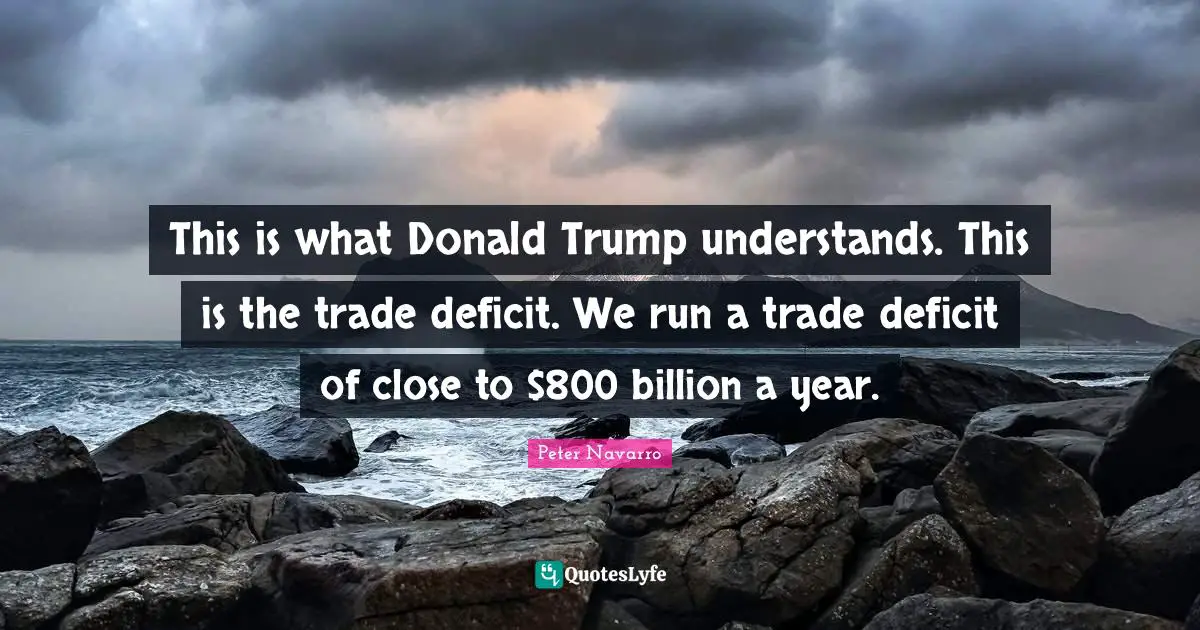 This is what Donald Trump understands. This is the trade deficit. We run a trade deficit of close to $800 billion a year.