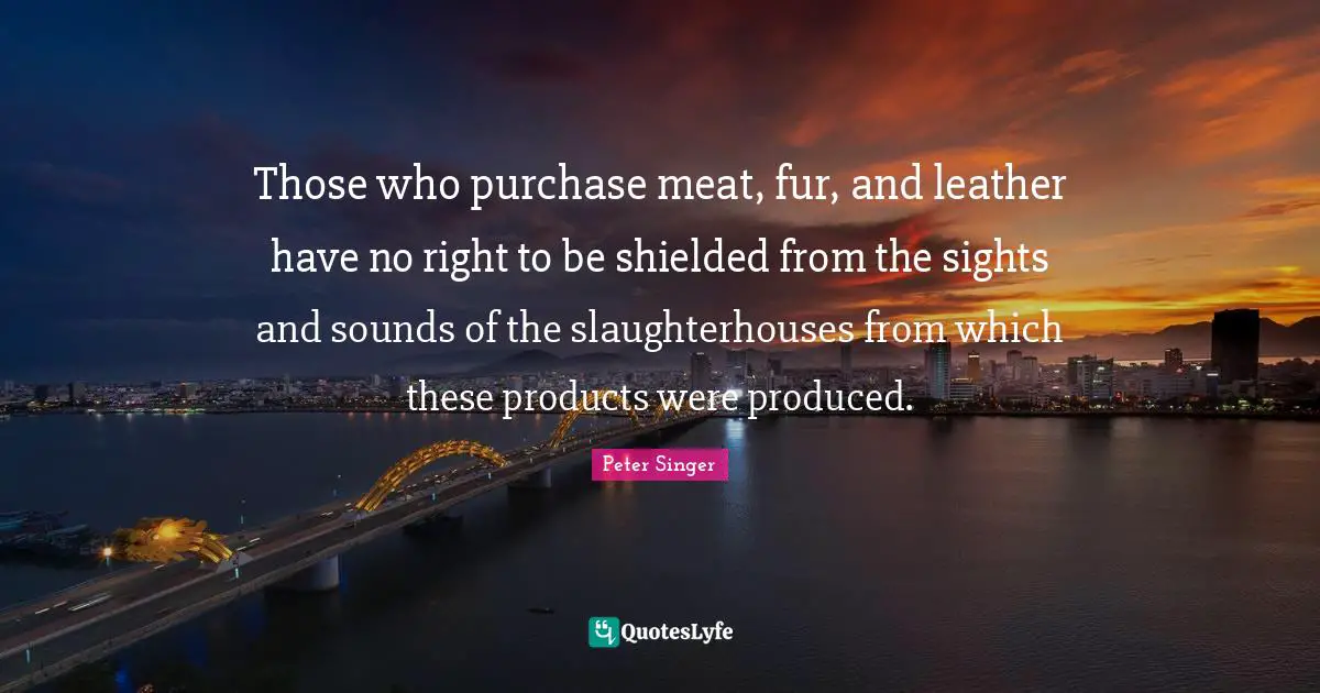 Those who purchase meat, fur, and leather have no right to be shielded from the sights and sounds of the slaughterhouses from which these products were produced.