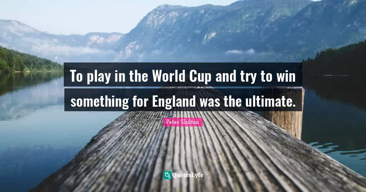To play in the World Cup and try to win something for England was the ultimate.