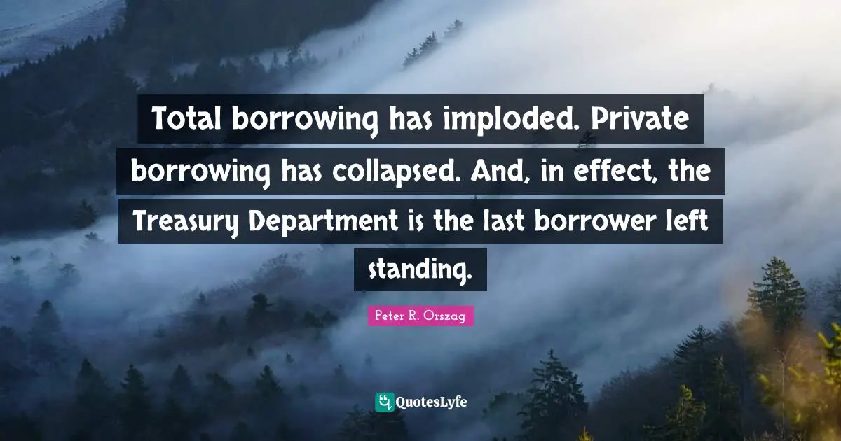 Total borrowing has imploded. Private borrowing has collapsed. And, in effect, the Treasury Department is the last borrower left standing.