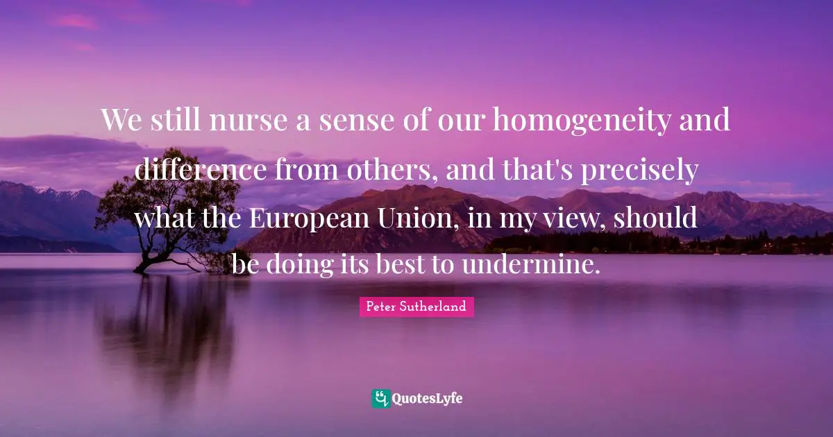 We still nurse a sense of our homogeneity and difference from others, and that's precisely what the European Union, in my view, should be doing its best to undermine.