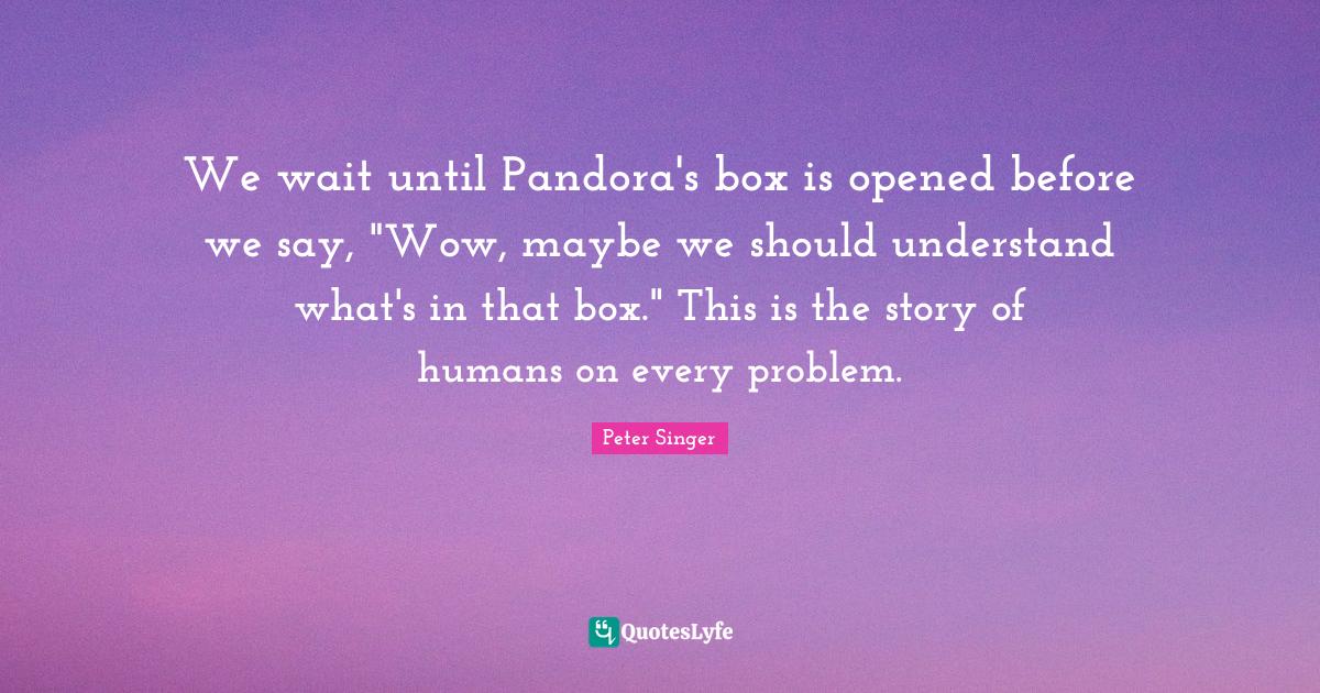 We wait until Pandora's box is opened before we say, "Wow, maybe we sh