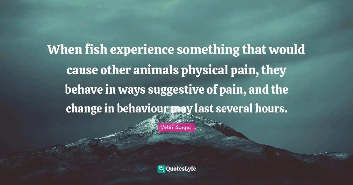When fish experience something that would cause other animals physical pain, they behave in ways suggestive of pain, and the change in behaviour may last several hours.