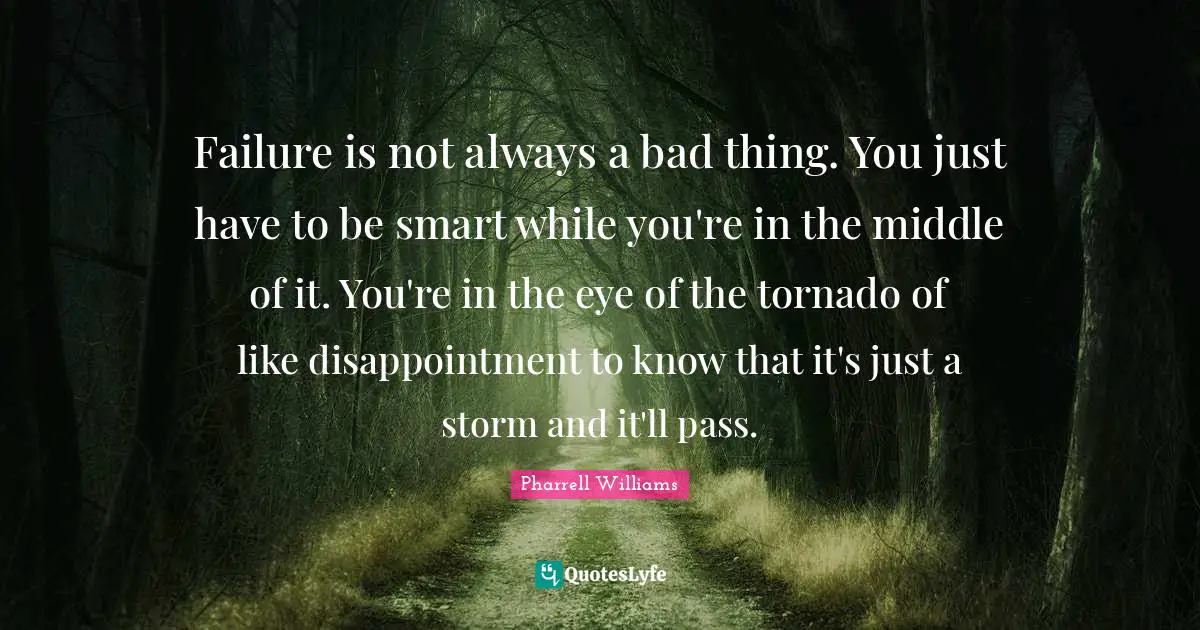 Failure is not always a bad thing. You just have to be smart while you're in the middle of it. You're in the eye of the tornado of like disappointment to know that it's just a storm and it'll pass.