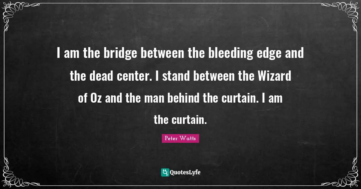 I am the bridge between the bleeding edge and the dead center. I stand between the Wizard of Oz and the man behind the curtain. I am the curtain.