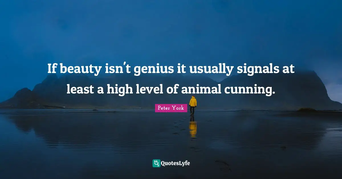 If beauty isn't genius it usually signals at least a high level of animal cunning.