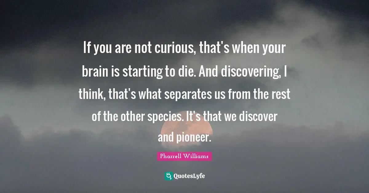 Pharrell Williams Quotes: "If you are not curious, that's when your brain is starting to die. And discovering, I think, that's what separates us from the rest of the other species. It's that we discover and pioneer."
