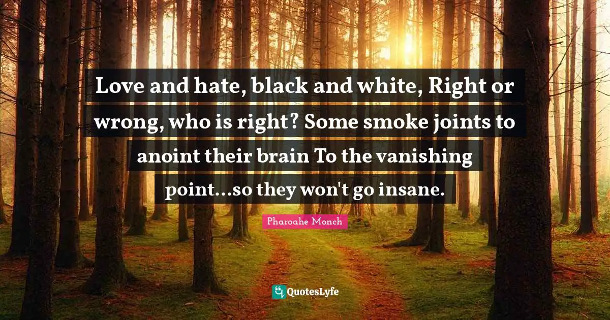 Love and hate, black and white, Right or wrong, who is right? Some smoke joints to anoint their brain To the vanishing point...so they won't go insane.