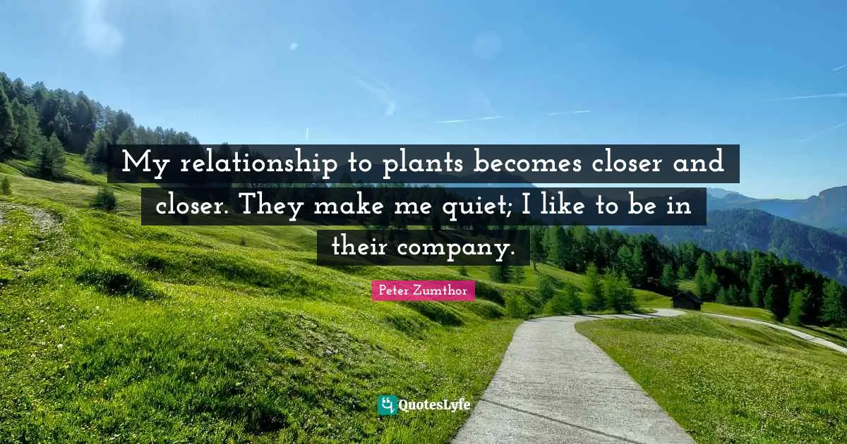 My relationship to plants becomes closer and closer. They make me quiet; I like to be in their company.