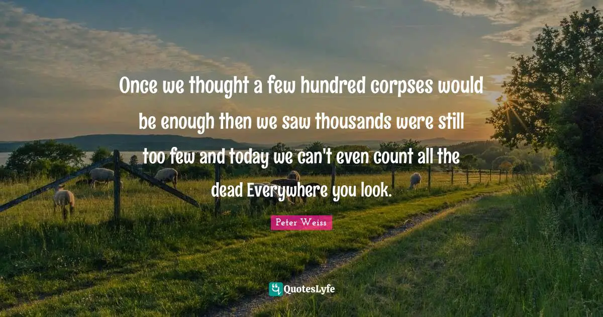 Once we thought a few hundred corpses would be enough then we saw thousands were still too few and today we can't even count all the dead Everywhere you look.