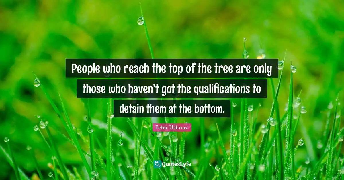 Peter Ustinov Quotes: "People who reach the top of the tree are only those who haven't got the qualifications to detain them at the bottom."