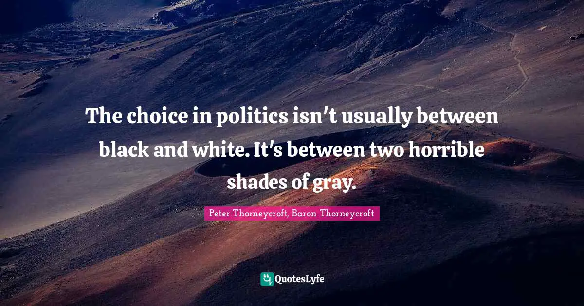 The choice in politics isn't usually between black and white. It's between two horrible shades of gray.
