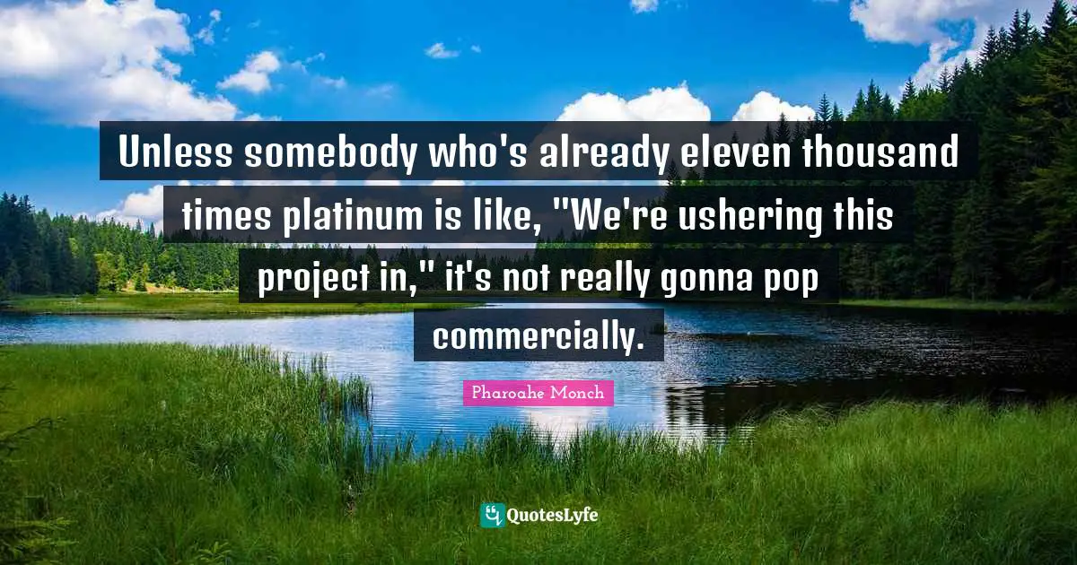 Unless somebody who's already eleven thousand times platinum is like, "We're ushering this project in," it's not really gonna pop commercially.
