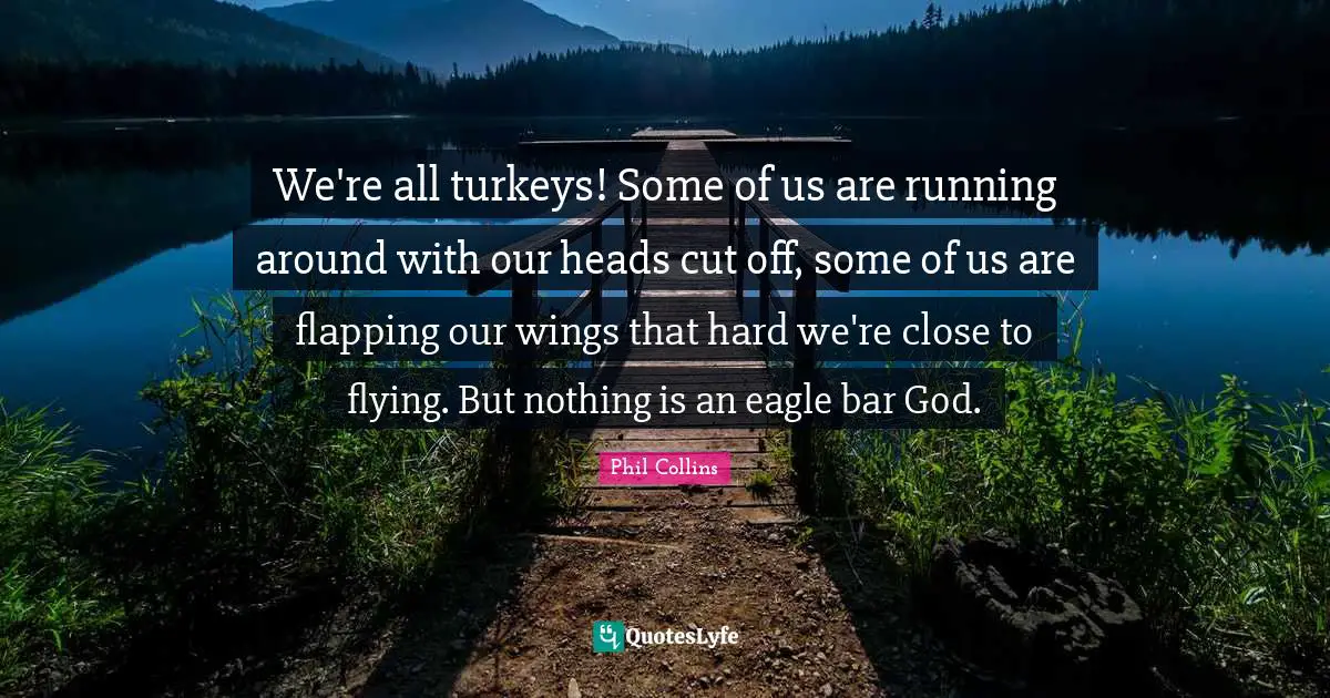 Phil Collins Quotes: "We're all turkeys! Some of us are running around with our heads cut off, some of us are flapping our wings that hard we're close to flying. But nothing is an eagle bar God."