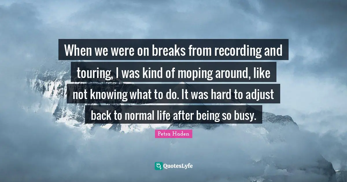 Petra Haden Quotes: "When we were on breaks from recording and touring, I was kind of moping around, like not knowing what to do. It was hard to adjust back to normal life after being so busy."