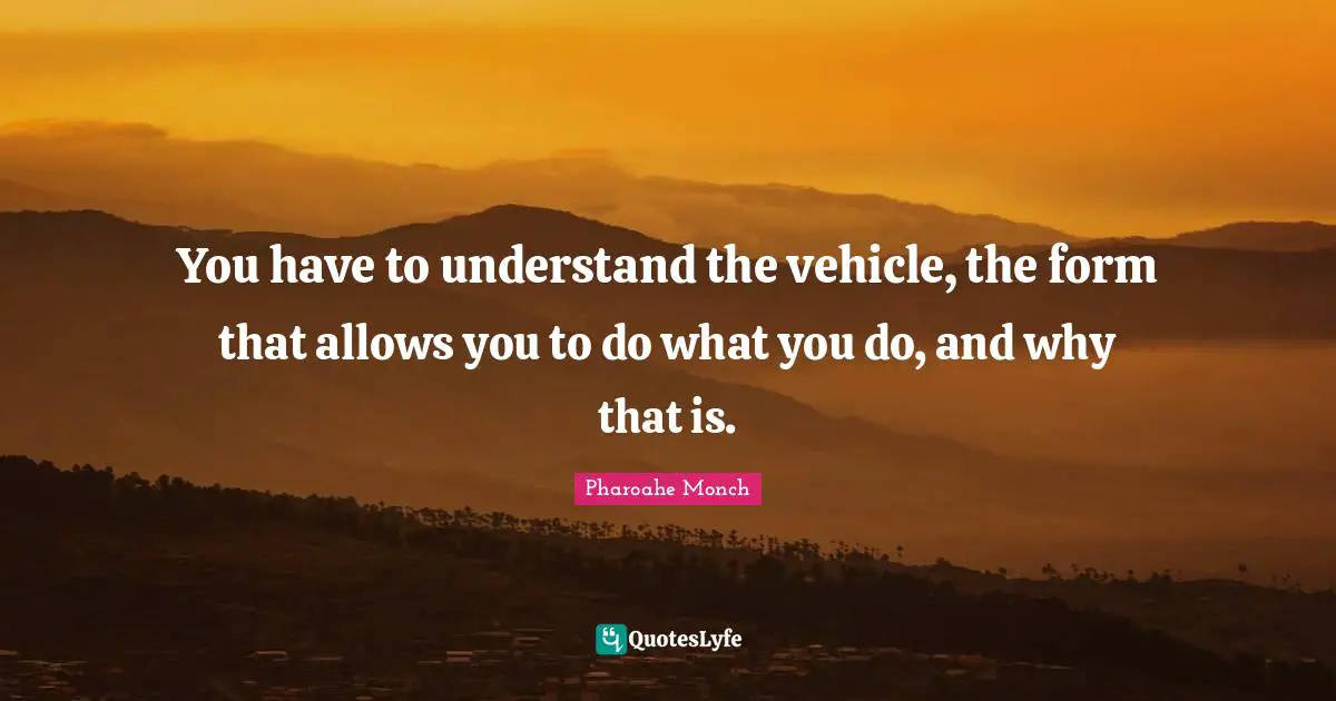 You have to understand the vehicle, the form that allows you to do what you do, and why that is.