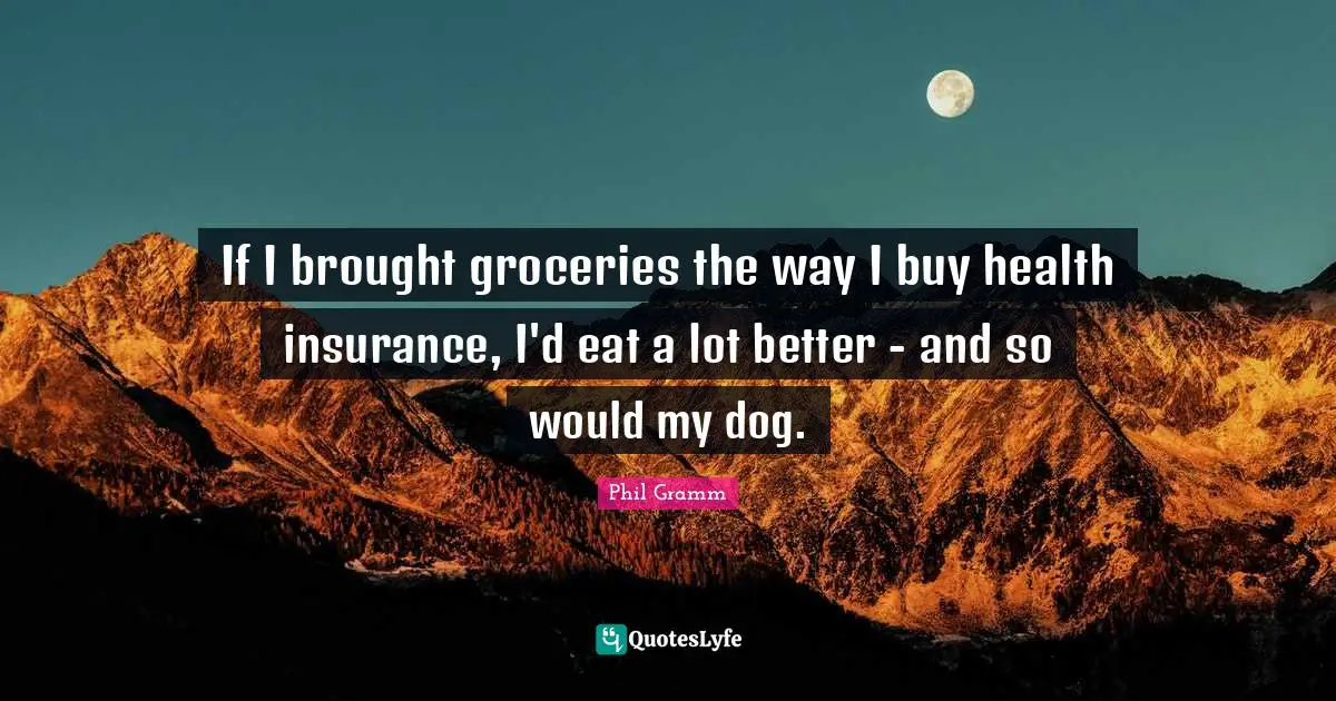 If I brought groceries the way I buy health insurance, I'd eat a lot better - and so would my dog.