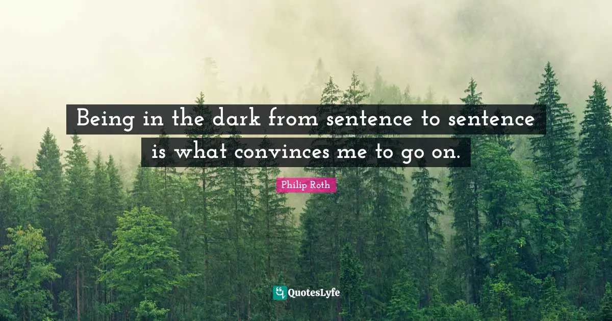 Being in the dark from sentence to sentence is what convinces me to go on.