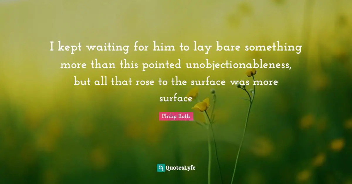 I kept waiting for him to lay bare something more than this pointed unobjectionableness, but all that rose to the surface was more surface