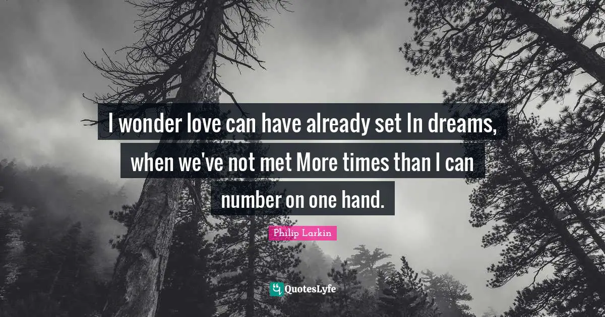 I wonder love can have already set In dreams, when we've not met More times than I can number on one hand.