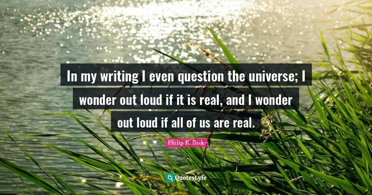 In my writing I even question the universe; I wonder out loud if it is real, and I wonder out loud if all of us are real.