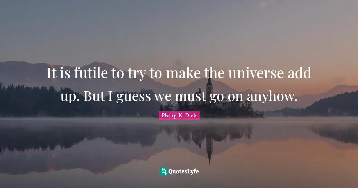 It is futile to try to make the universe add up. But I guess we must go on anyhow.