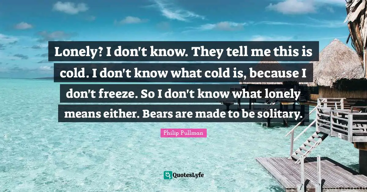 Lonely? I don't know. They tell me this is cold. I don't know what cold is, because I don't freeze. So I don't know what lonely means either. Bears are made to be solitary.