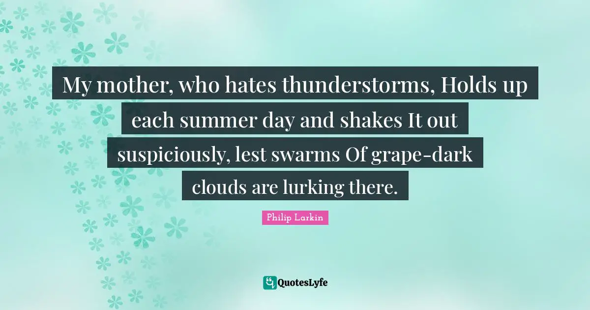 My mother, who hates thunderstorms, Holds up each summer day and shakes It out suspiciously, lest swarms Of grape-dark clouds are lurking there.