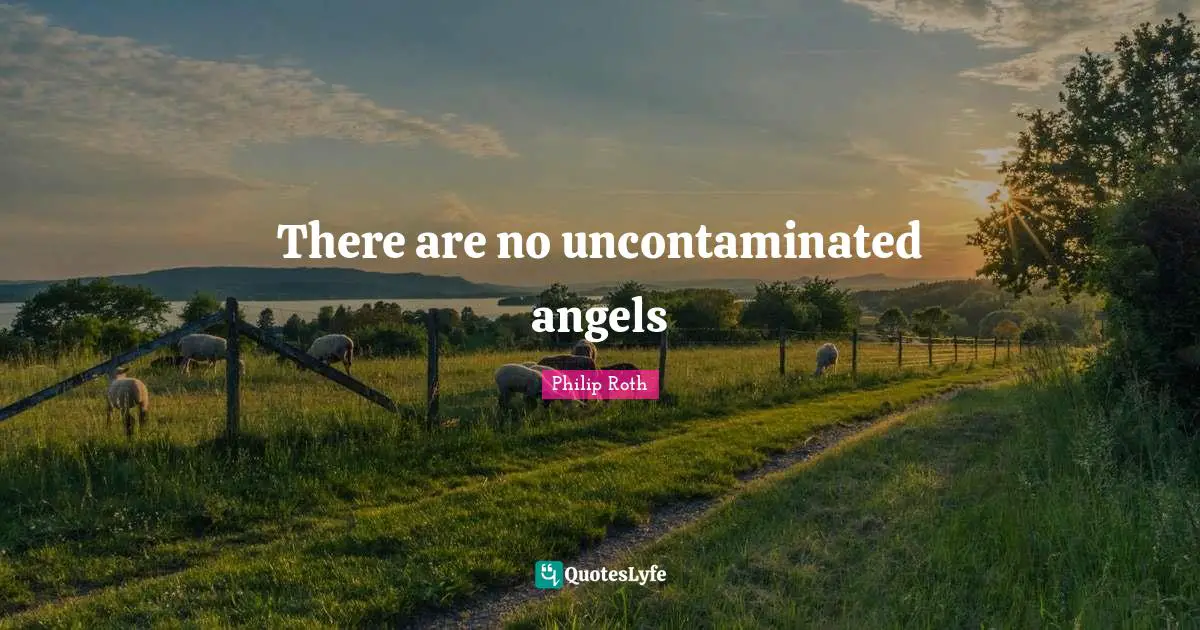 There are no uncontaminated angels