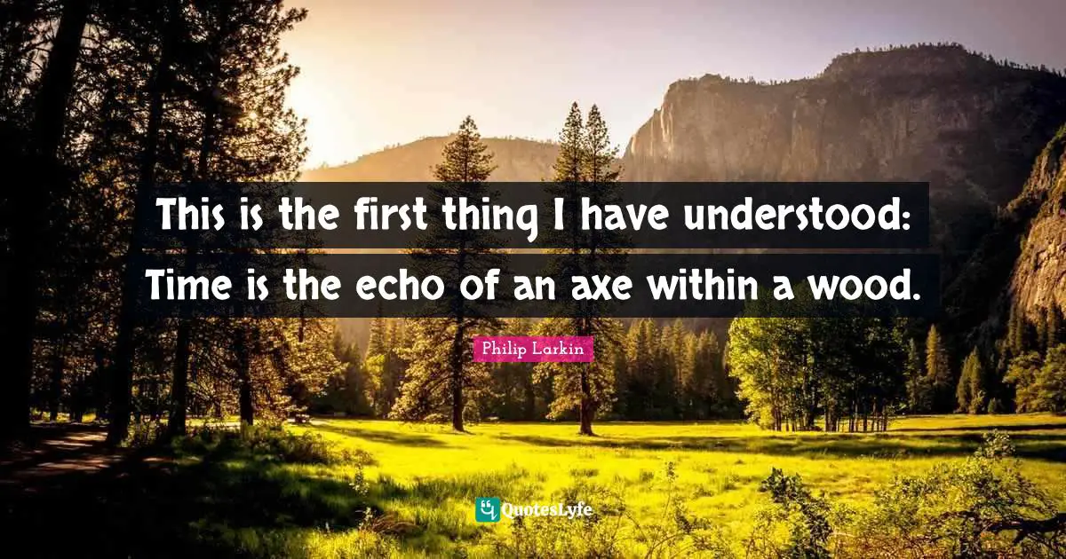 This is the first thing I have understood: Time is the echo of an axe within a wood.