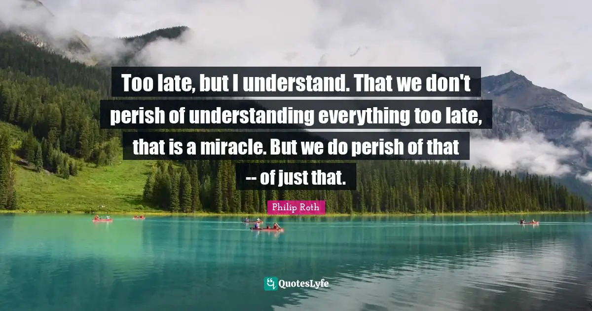 Too late, but I understand. That we don't perish of understanding everything too late, that is a miracle. But we do perish of that -- of just that.