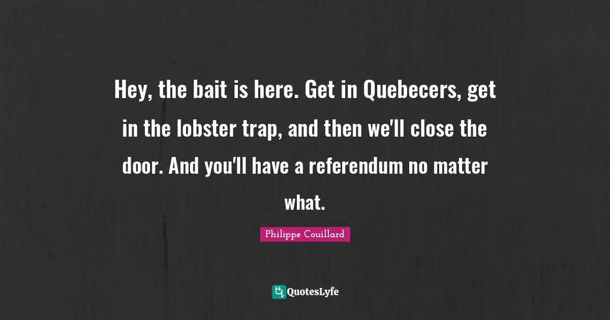 Hey, the bait is here. Get in Quebecers, get in the lobster trap, and then we'll close the door. And you'll have a referendum no matter what.