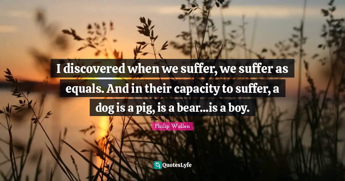 Boys Quotes: "I discovered when we suffer, we suffer as equals. And in their capacity to suffer, a dog is a pig, is a bear...is a boy."