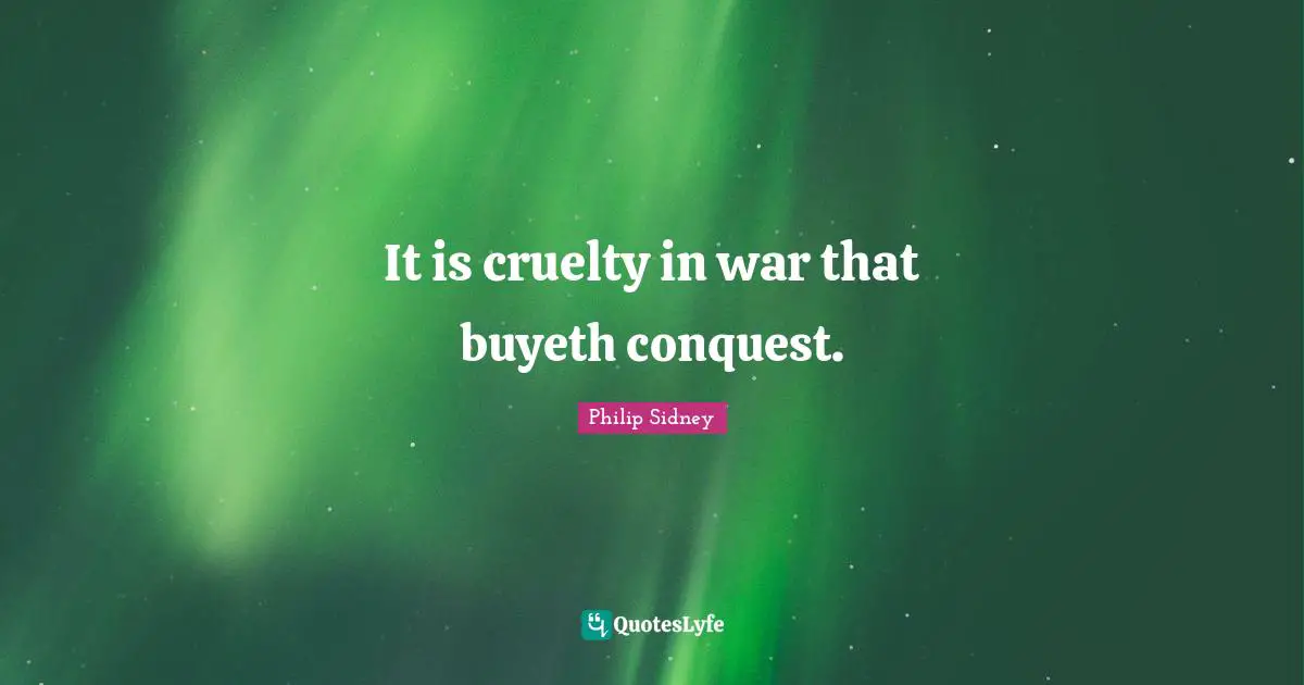 It is cruelty in war that buyeth conquest.