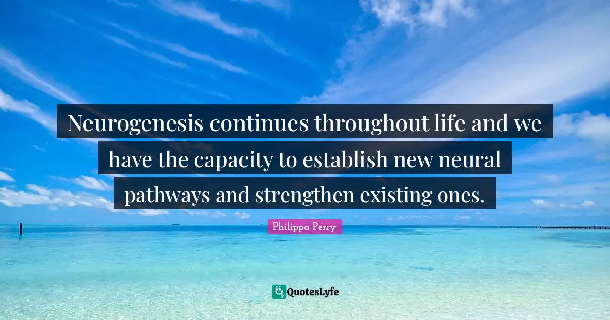 Neurogenesis continues throughout life and we have the capacity to establish new neural pathways and strengthen existing ones.