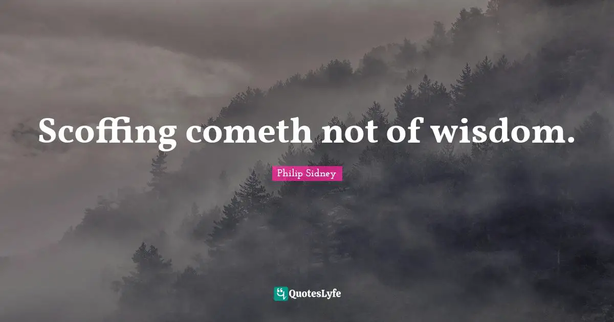 Scoffing cometh not of wisdom.