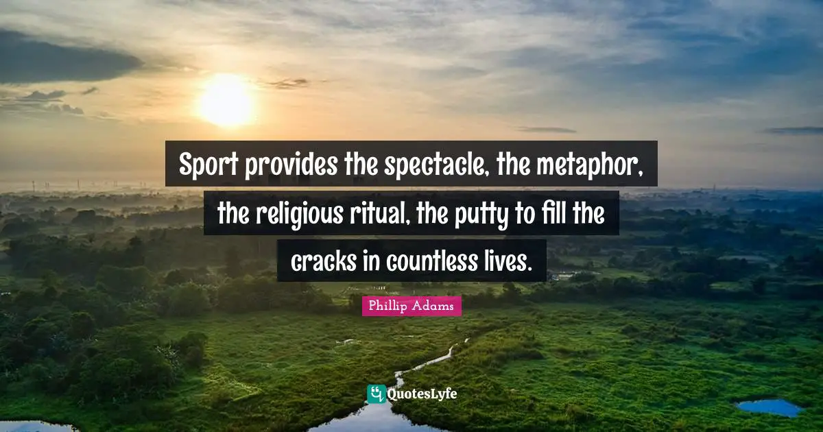 Sport provides the spectacle, the metaphor, the religious ritual, the putty to fill the cracks in countless lives.