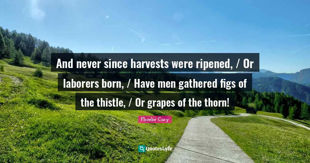 And never since harvests were ripened, / Or laborers born, / Have men gathered figs of the thistle, / Or grapes of the thorn!