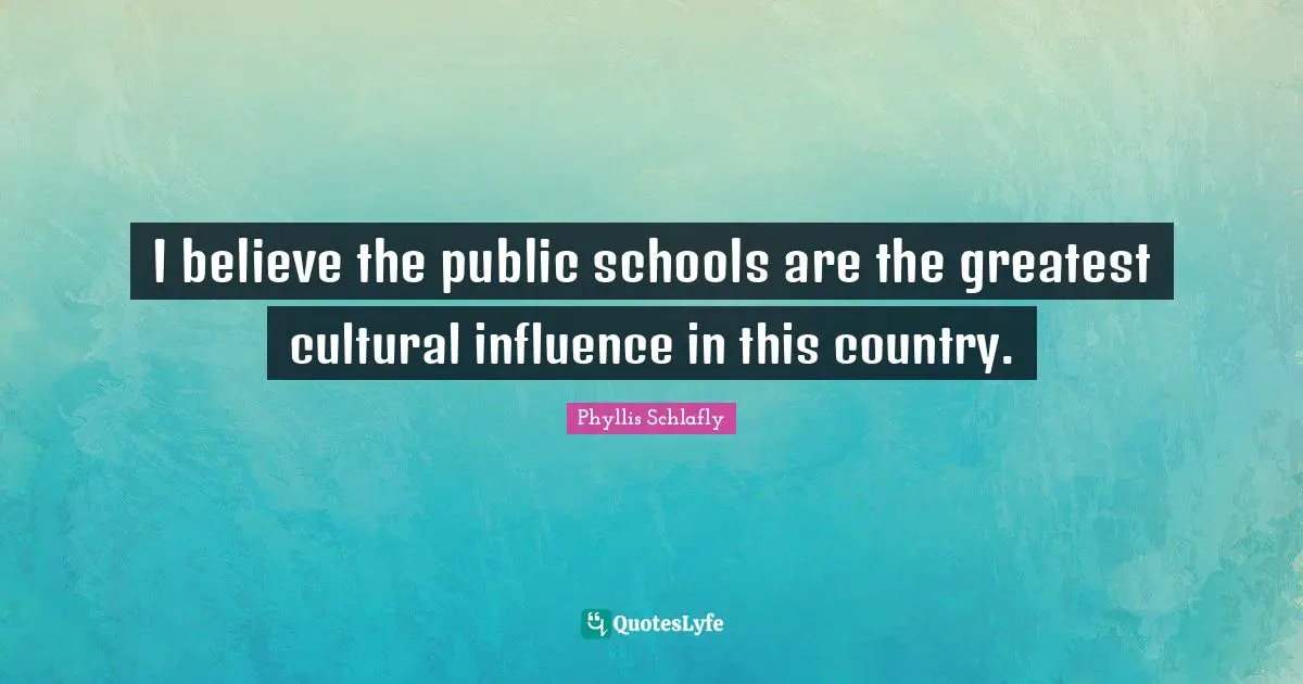 I believe the public schools are the greatest cultural influence in this country.