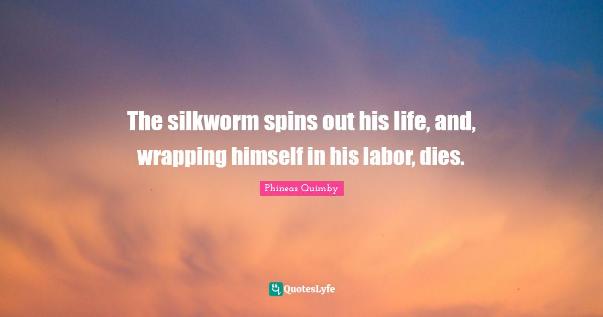 Wrapping Quotes: "The silkworm spins out his life, and, wrapping himself in his labor, dies."