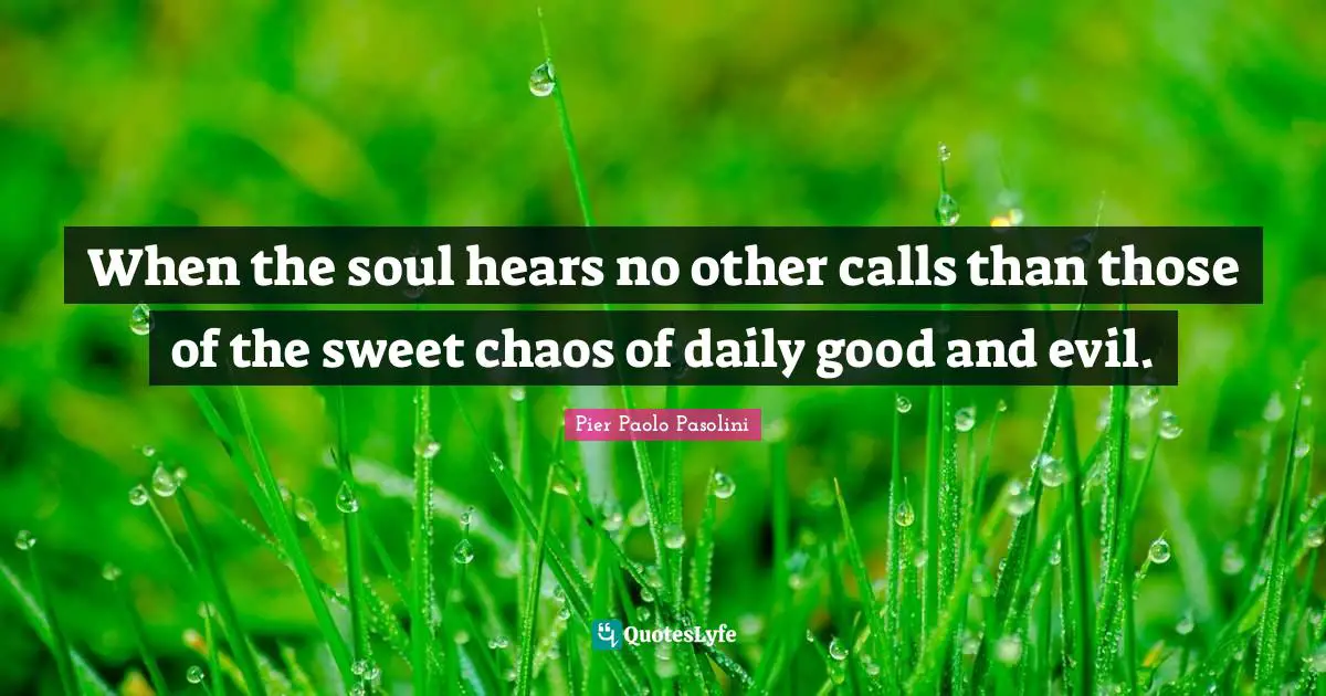 When the soul hears no other calls than those of the sweet chaos of daily good and evil.