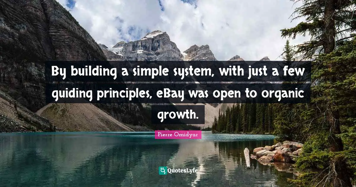 By building a simple system, with just a few guiding principles, eBay was open to organic growth.