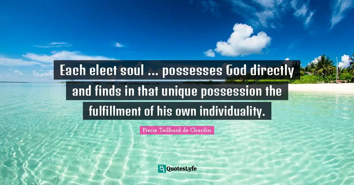 Teilhard De Chardin Quotes: "Each elect soul ... possesses God directly and finds in that unique possession the fulfillment of his own individuality."